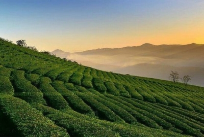 7 Days 6 Nights Ho Chi Minh, Da Lat & Mekong Delta Discovery