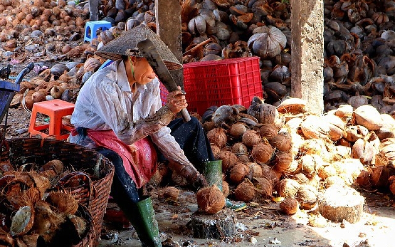 MEKONG DELTA DISCOVERY FULL DAY